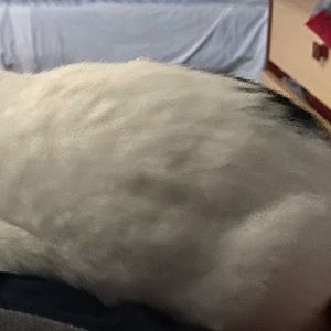 Meet your Posher, Elias